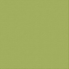CC OLIVE GROVE Textured Cardstock - 12 x 12 (216gsm) - 10 Sheets