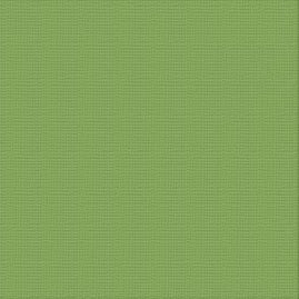 CC JUNGLE Textured Cardstock - 12 x 12 (216gsm) - 10 Sheets