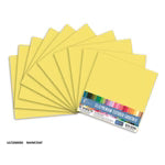 CC RAINCOAT Textured Cardstock - 12 x 12 (216gsm) - 10 Sheets
