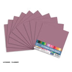 CC PLUMBERY Textured Cardstock - 12 x 12 (216gsm) - 10 Sheets