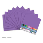 CC VIOLET Textured Cardstock - 12 x 12 (216gsm) - 10 Sheets
