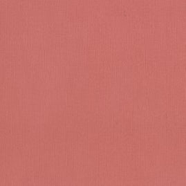 CC ROSE Textured Cardstock - 12 x 12 (216gsm) - 10 Sheets