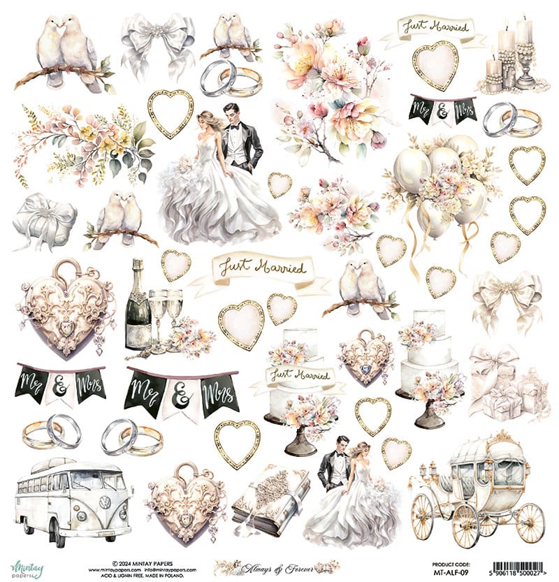Always & Forever -09 image 1