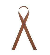 Seam Binding-Chocolate Brown