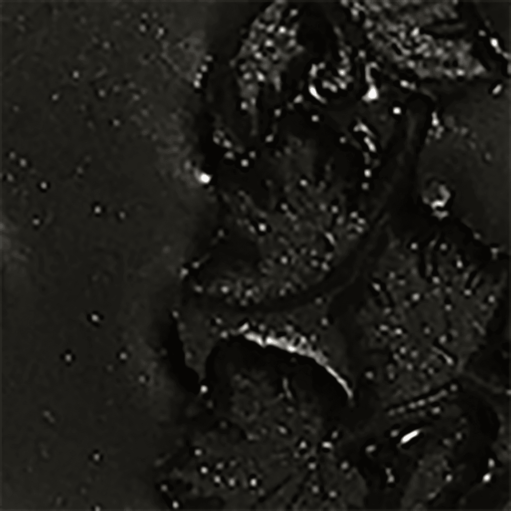 Black Forest Black - Embossing Powder image 0