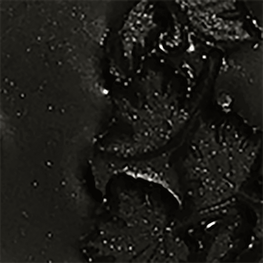 Black Forest Black - Embossing Powder image 0