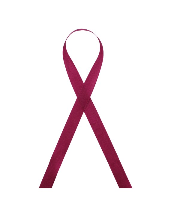 Seam Binding-Fuchsia